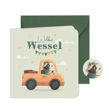Geboortekaartje wasbeer auto stoer lief slinger wolken ster